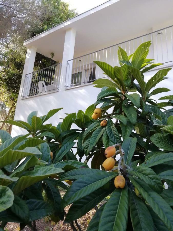 In Campagna Da Nino Hotel Олбия Екстериор снимка