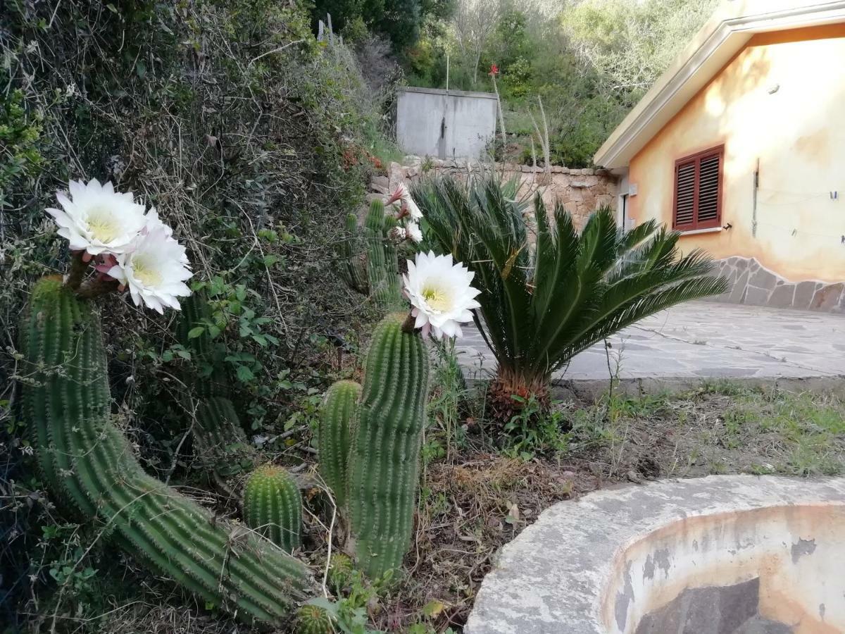 In Campagna Da Nino Hotel Олбия Екстериор снимка